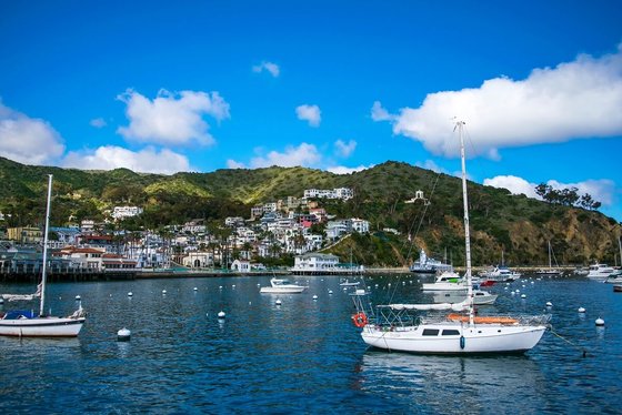 Catalina Island (Kalifornie)