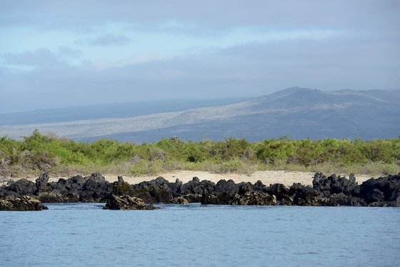 Urbina Bay