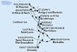 Barbados, Svatý Vincenc a Grenadiny, Grenada, Martinik, Guadeloupe, Svatý Martin, Antigua a Barbuda, Svatý Kryštof a Nevis, Dominika, Svatá Lucie z Bridgetownu na lodi MSC World Europa
